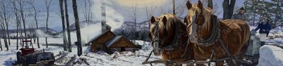 Rett Sturman: Sugaring