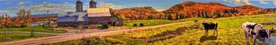Rett Sturman: Fall