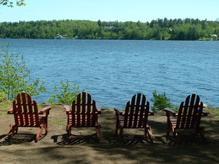 Lounge Chairs