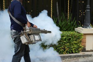 Fogging for mosquitoes