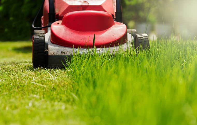 a florida resident mowing his lawn