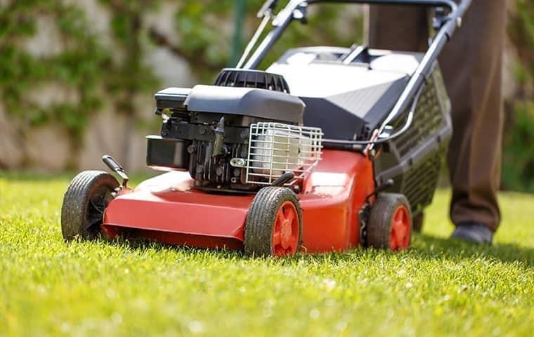 man mowing grass in florida