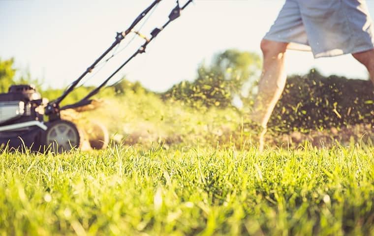 teen mowing his florida lawn