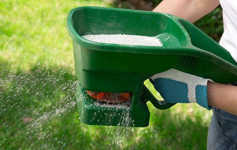 a technician spreading lawn fertilizer in palm city florida