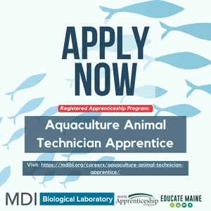 Lab Aquaculture Opportunity Now Open at MDIBL