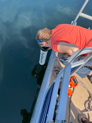 Biolab Teams Up With 7 Lakes Alliance to Sample Maine Waters