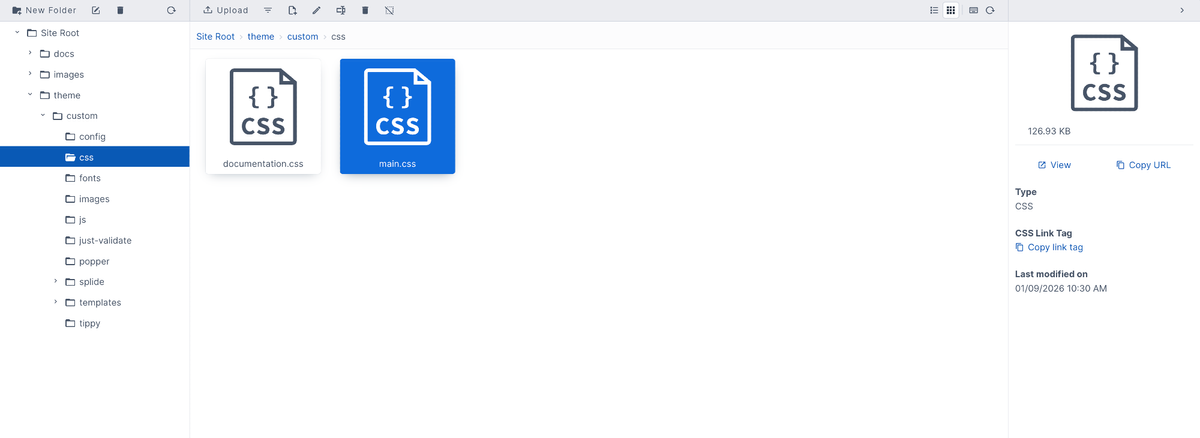 CSS file type