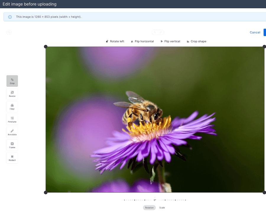 Image editor