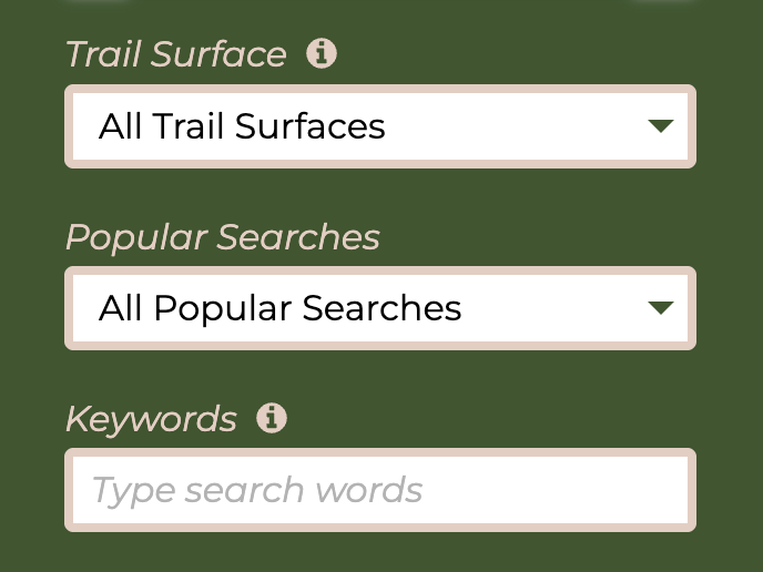 Custom search form