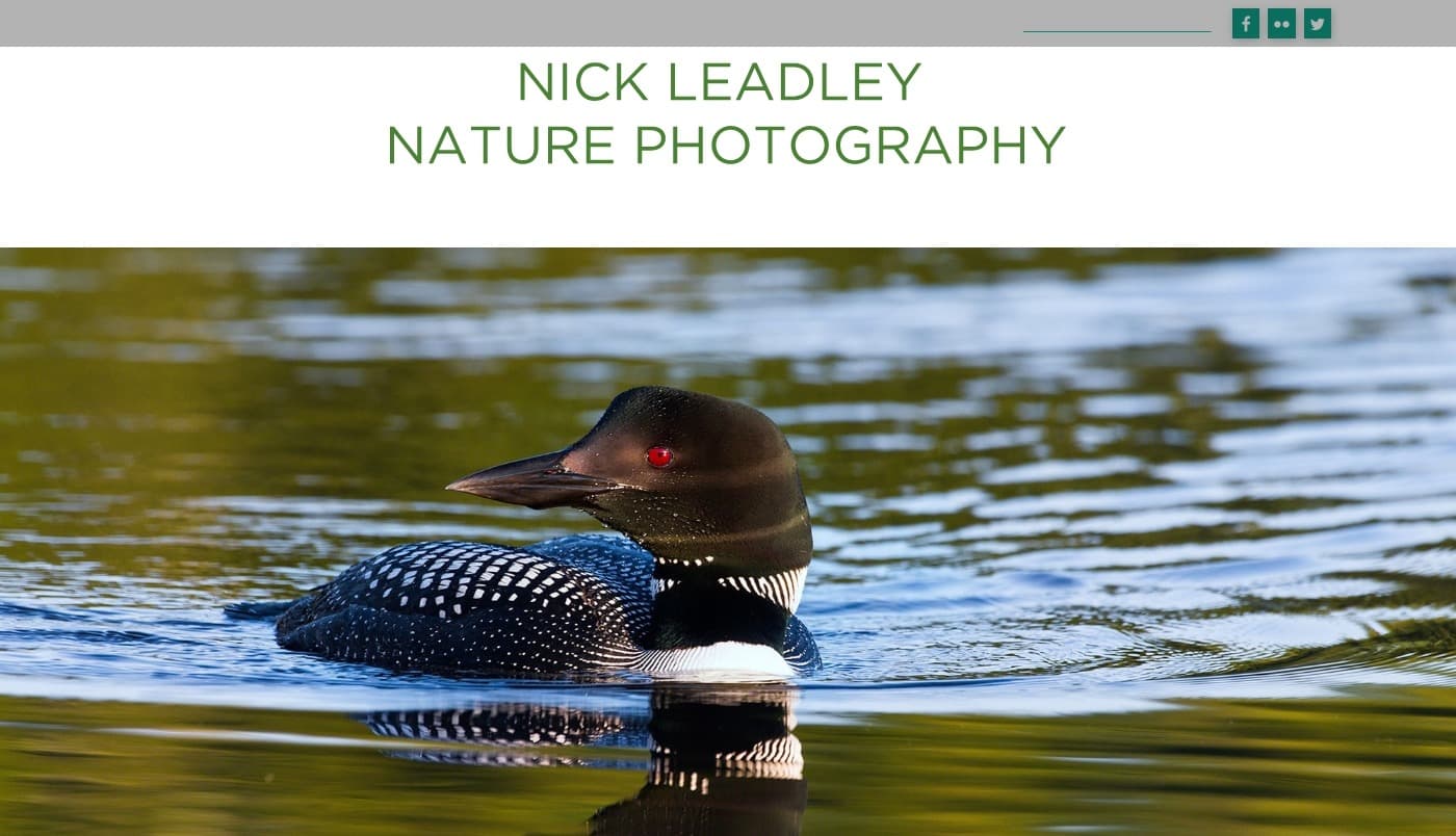 Nick Leadley Nature Photography