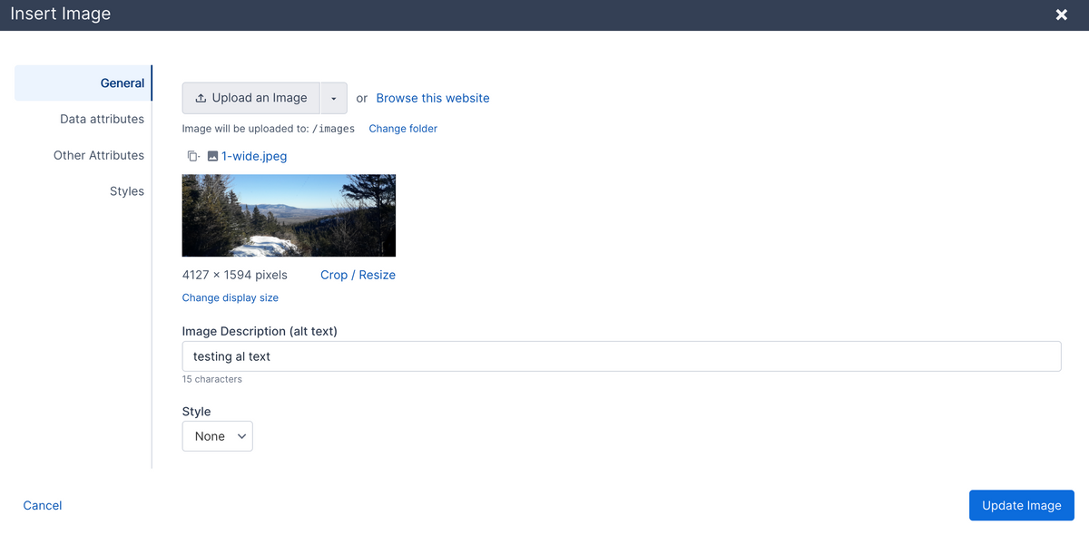 rich text editor image editor modal