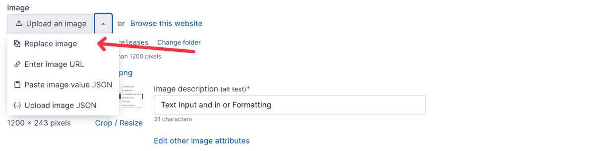 Image upload replacement menu