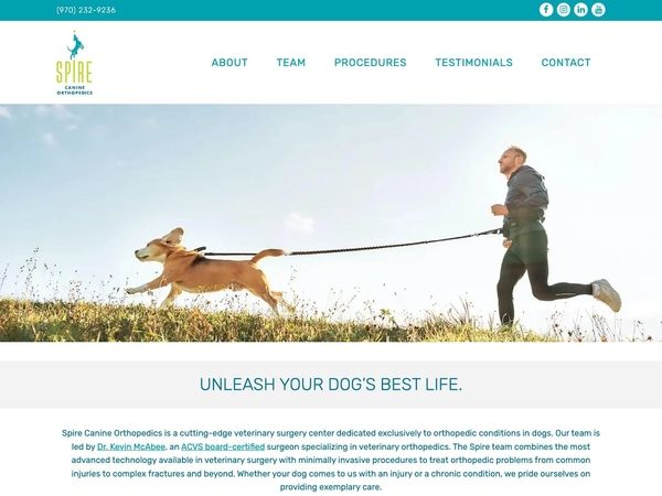 Spire Canine Orthopedics website screenshot