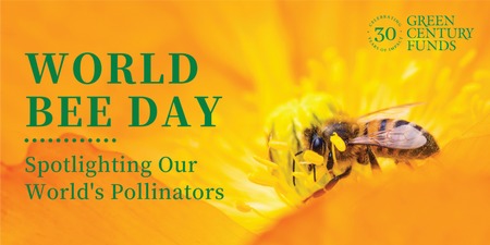 World Bee Day