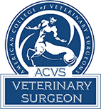 Why Is It Important For Your Veterinary Surgeon To Be Board-Certified?