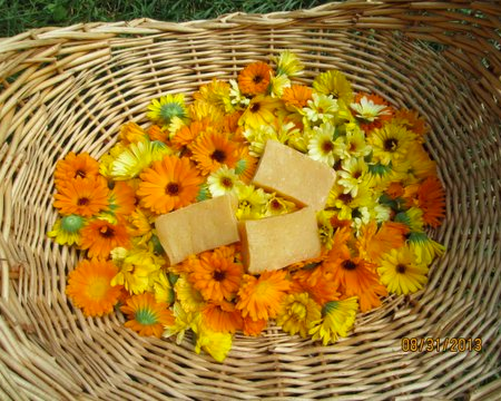 Calendula Soap