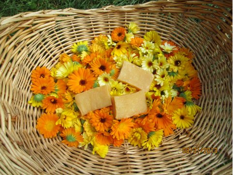 Calendula Soap