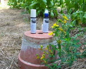 St. John's Wort Oil