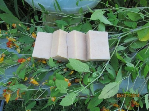 Jewelweed Soap