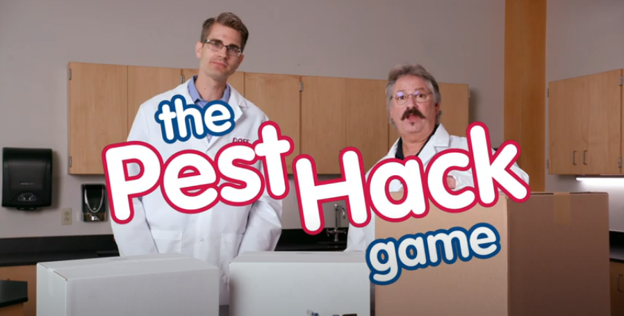 key frame from pest hacks video