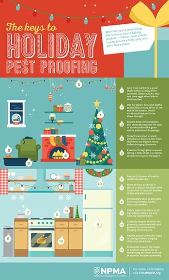 holiday decorating infographic