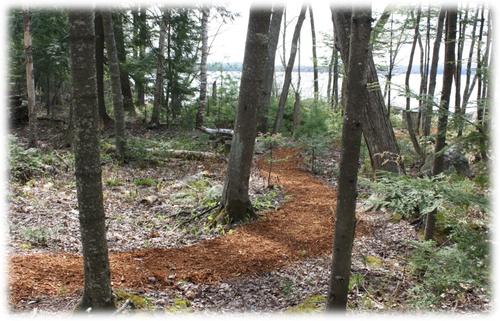 Paths