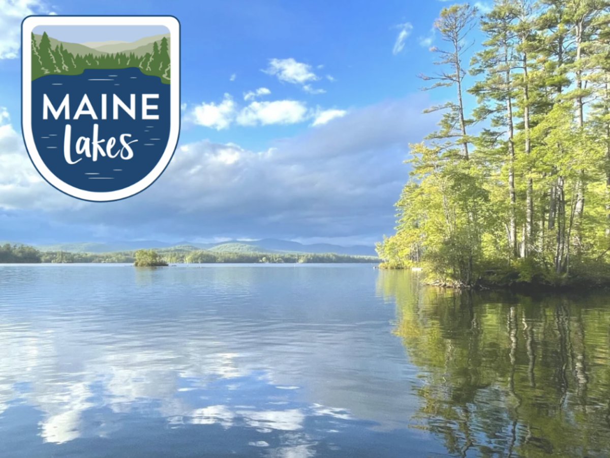 Augsust 2025 Newsletter