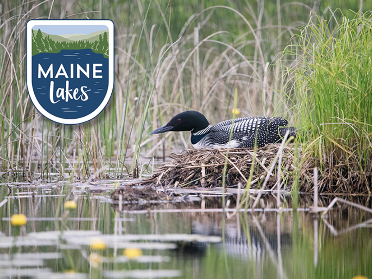 September 2025 Newsletter