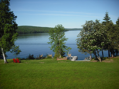 Green Lawn w Chairs n View