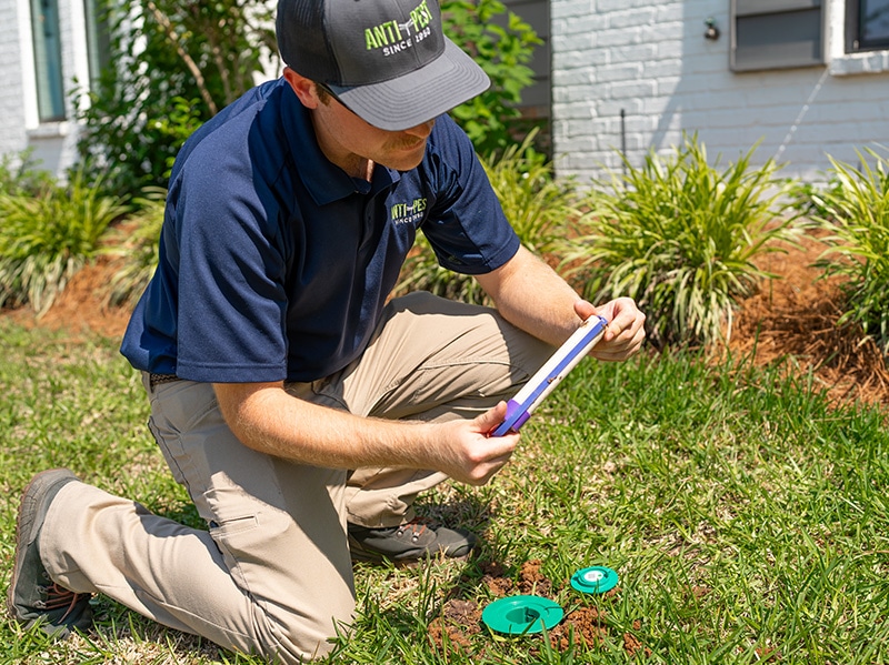 termite control pro checking sentricon system