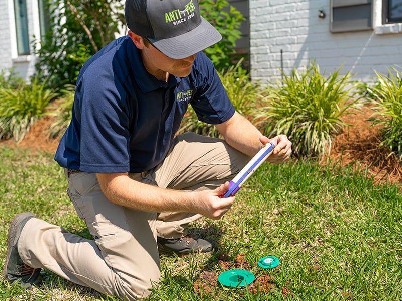 termite control technician from anti-pest checking a sentricon station