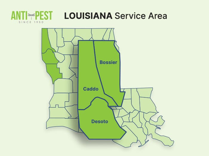 ant-pest service area map