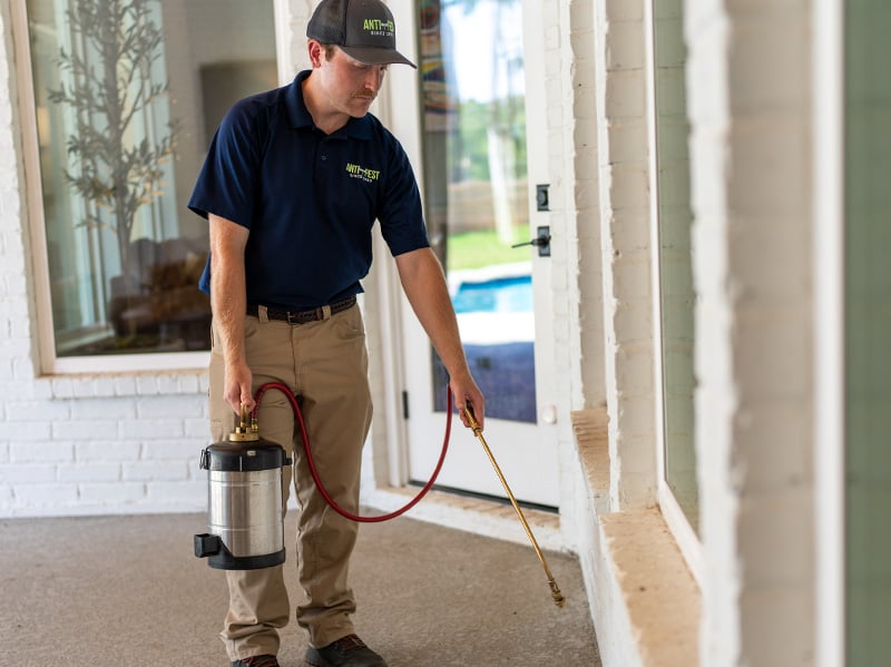 pest technician treating around house foundation