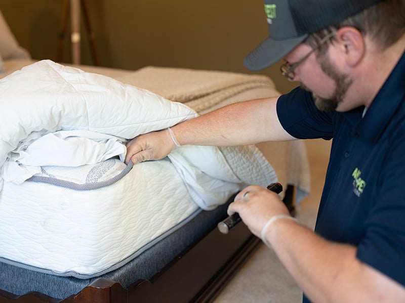 inspecting for bed bugs on mattress