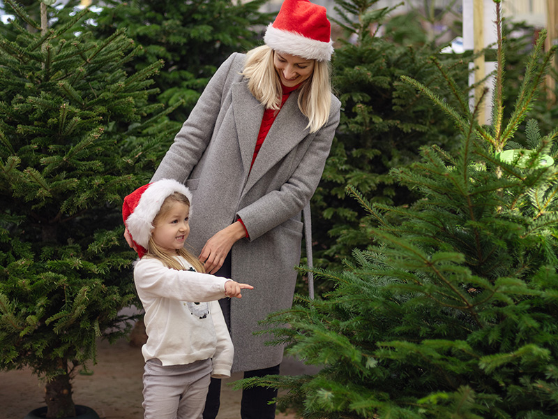 little girl and mom picking out christmas tree