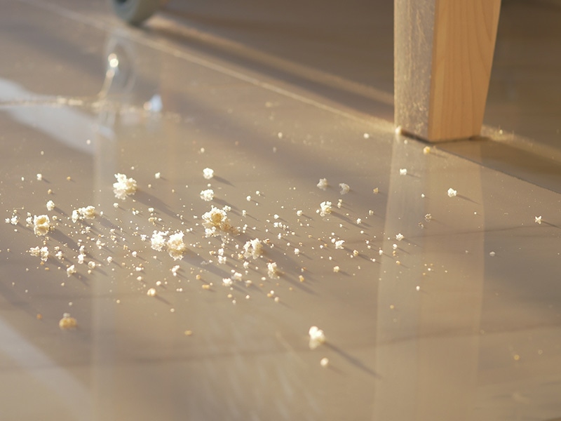 bread crumbs on the kitchen floor