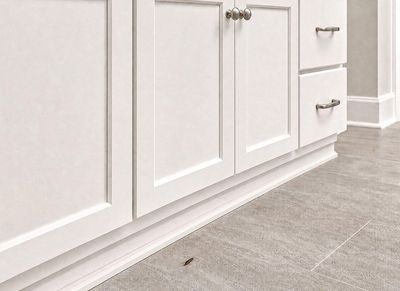 earwig on bathroom floor
