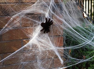 fake spider and web