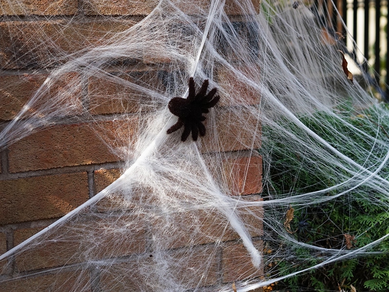fake spider and web