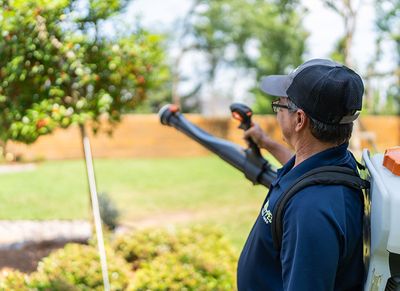 pest technician spraying for mosquitoes