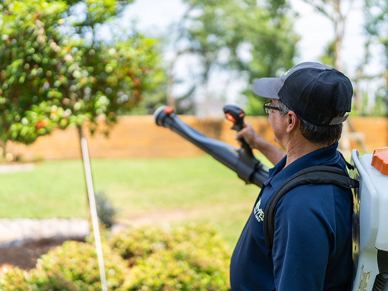 pest technician spraying for mosquitoes