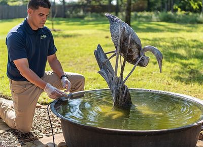 anti-pest mosquito control specialist in shreveport