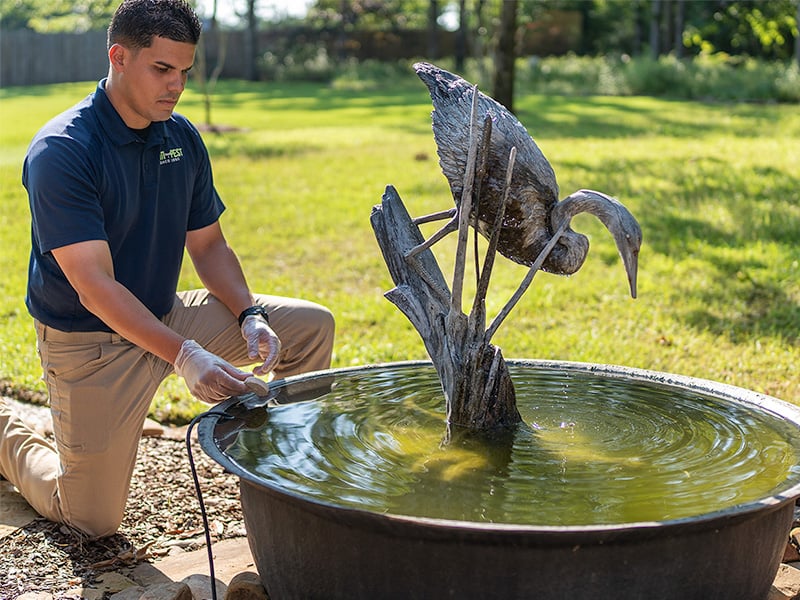 anti-pest mosquito control specialist in shreveport