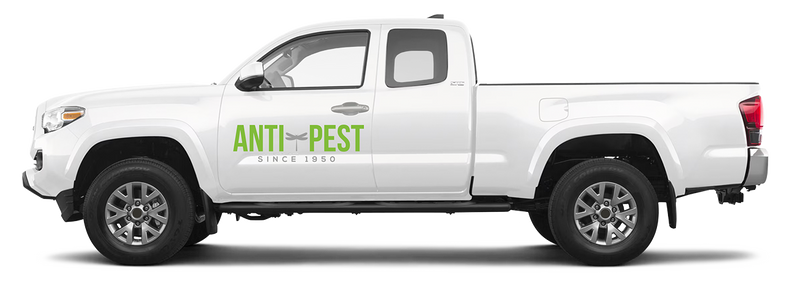 anti-pest service truck