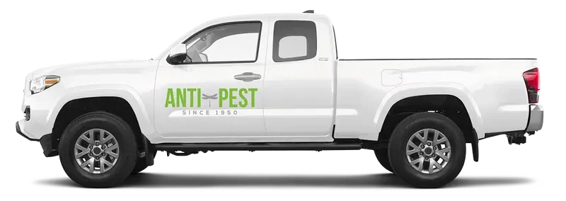 anti-pest service truck