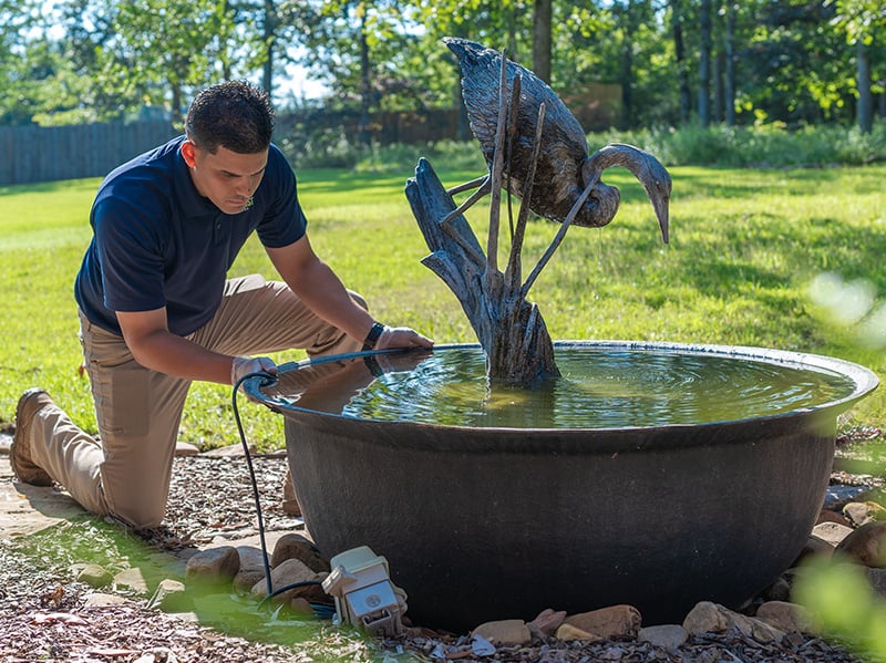 local pest control pro inspecting water feature for mosquito activity