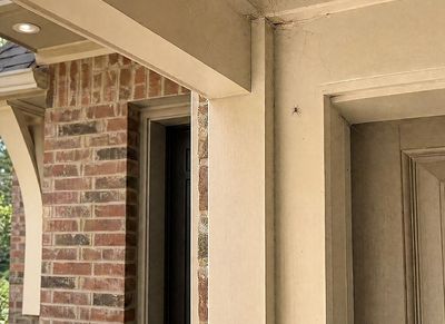 spider in doorway