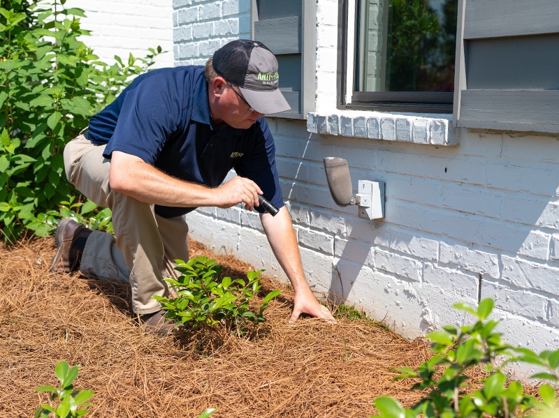 shreveport pest control pro inspecting for termites