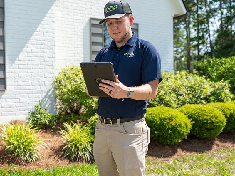 local wildlife control pro inspecting property