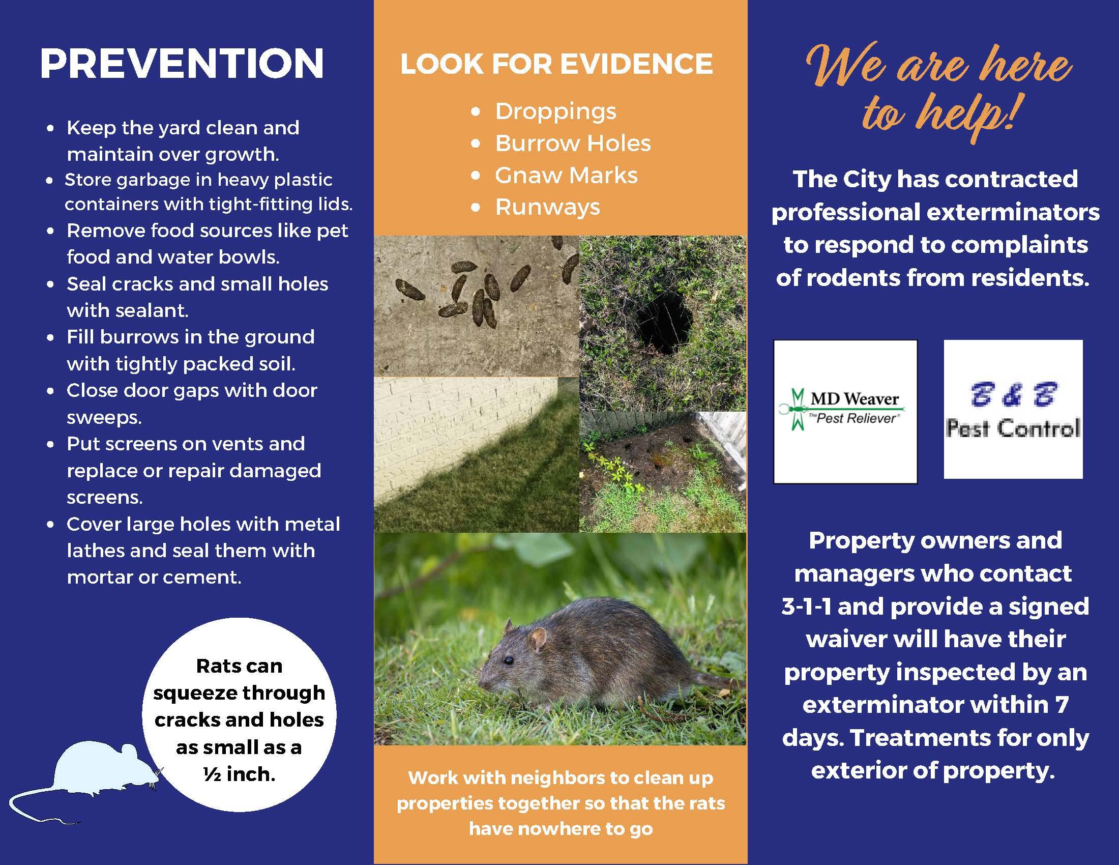 Rodent Control - City of Revere - City of Revere, Massachusetts